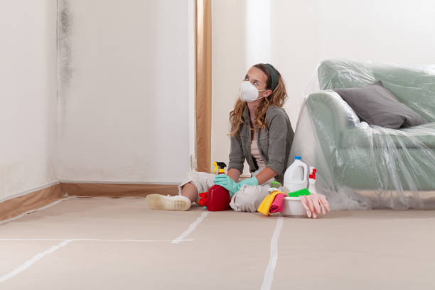 Reliable Mold Testing contractor in Occoquan, VA by WQB Mold Removal