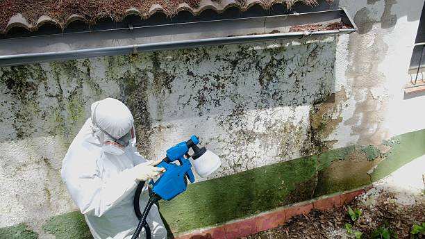 Top rated local Mold Testing specialists in Occoquan, VA